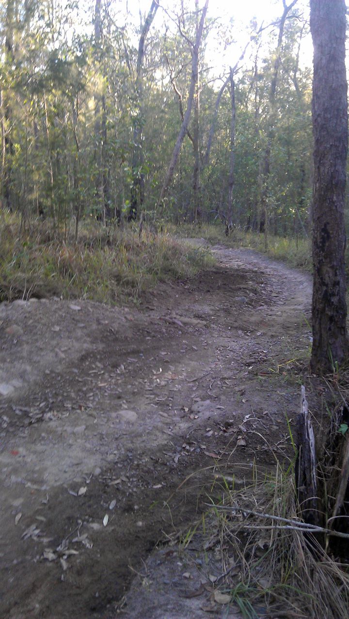 Park Repair 1